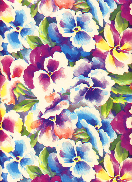 Pretty Pansies — Rich Plus Gift Wrapping Paper Wholesale